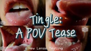Tingle: A POV Tease