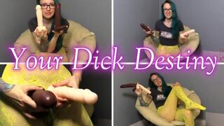 Your Dick Destiny mp4
