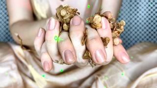 Beautiful hands with veins crush dry flowers