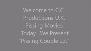 Pissing Couple 23 Day Out At The Beach