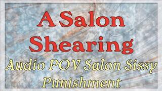 A Salon Shearing