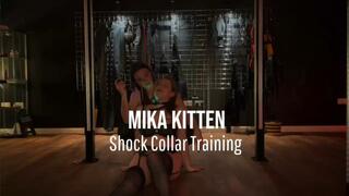Shock Collar Training