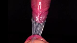 Extreme Close Up Putting A Condom On With Her Mouth And Full Blowjob