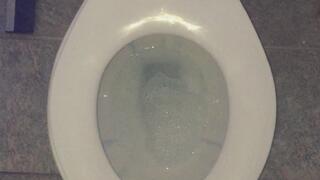 CARNEVIL TOILET 2DAY SEAT LID DOWN