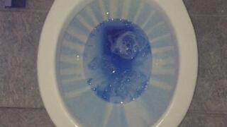 CARNEVIL TOILET 2DAY