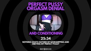 Perfect Pusy Orgasm Denial and Conditioning