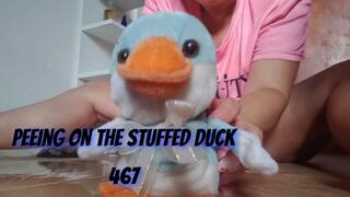 Peeing on the stuffed duck 467