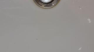 Bathroom Voyeur: Tatted Alpha's Heavy Stream in the Sink