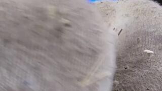 POV: You're my husband and you just woke up (Feet Edition)