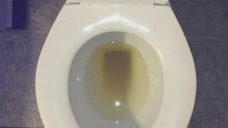 GOLD PEE IN MY TOILET UR WISH IS GRANTED