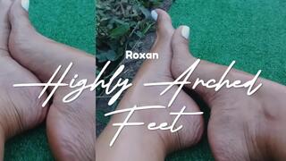 Dazzling with its pronounced arches (3)