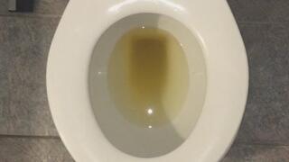 GOLDEN TOILET ALTON TOWERS MAP COMPLETE IN APEX LEGENDS