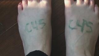 BAT SHADOW FROM SUNLIGHT ON CHESTNUT HARDWOOD FLOOR GOTH