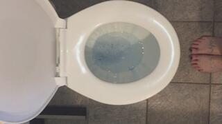 CARNEVIL TOILET FLUSH NUMBER TWO