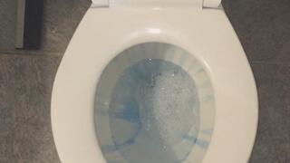 CARNEVIL TOILET FLUSH