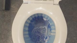 CARNEVIL TOILET DAY APEX LEGENDS, ALTON TOWERS & DOLLAR BILL WISH 2DAY