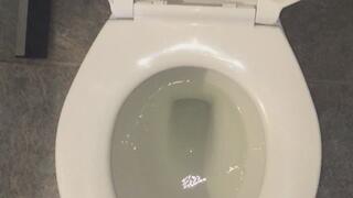 PEE FLUSH I WISH FOR DOLLAR BILL FROM EVERY MOUTH UR WISH IS GRANTED