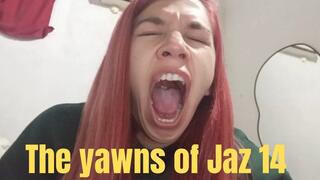 The yawns of Jaz 14