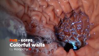 [FHD 60FPS] - Colorful walls - ENDOSCOPE VORE (CINEMATIC)