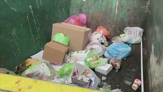 I make you Eat All the Rotten Trash and Lick the Filthy Bin Clean – Slave Task