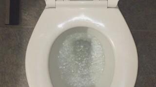 I HAVE PEE IN MY TOILET MY CAMERA PICKS UP GREEN ORBS IM A BULLET SOUL