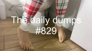 The daily dumps #829 mp4