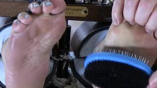 Holly Evergreen Stocked and Tickled