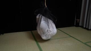 xr293-Put the girl in a sack