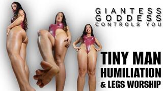 Giantess Goddess Controls You | Tiny Man Humiliation & Legs Worship