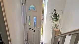 Tight ropes for Rara the secretary wmv