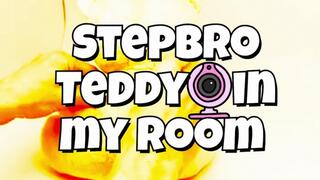 Stepbro teddy Cam