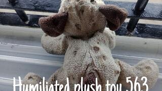 Humiliated plush toy 563