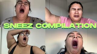 Sneez compilation