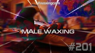 MALE WAXING #201