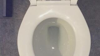 FLUSHING MY PEE DOWN THE TOILET