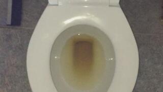 PEE AND FLUSH TOILET