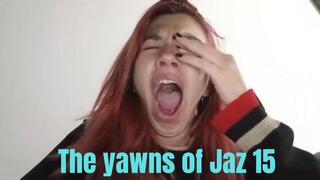 The yawns of Jaz 15