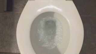 PEE AND FLUSH MY TOILET