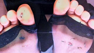 Giant Femboy Walks all over Tinies in Sandals and Nylons Underglass - Trampling, Crushing, Inshoe, Toeless Nylons, Socks, Tights, Stockings - Under Glass, Slow Motion [1080p]