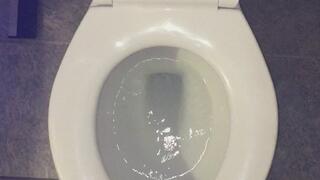 FLUSHING MY PEE DOWN THE TOILET UR WISH IS GRANTED