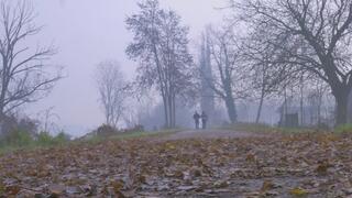 Cop Ily arrest a man part 2