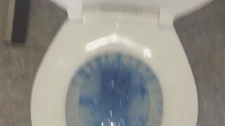 CARNEVIL TOILET DAY BILLIONAIRE