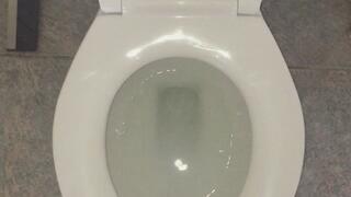 PEE IN MY TOILET FLUSHING IT DOWN