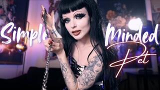 Simple Minded Pet