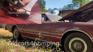 Revving the fire breathing tbird!