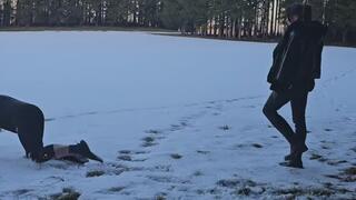 Petplay & gelber Schnee