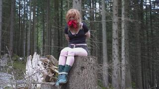 Abandoned in the Woods