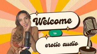 Erotic Story: The secretarys punishment