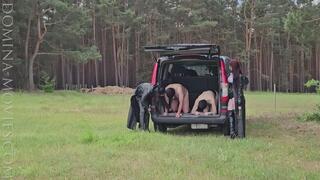 Bullwhip and Cane Cracks in the Forest - 01