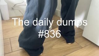 The daily dumps #836
